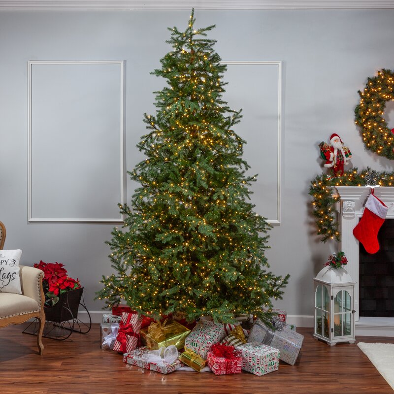 The Holiday Aisle® Natcut Portland Green Pine Artificial Christmas Tree ...