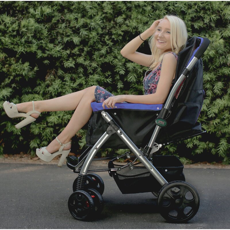 pet rover stroller reviews