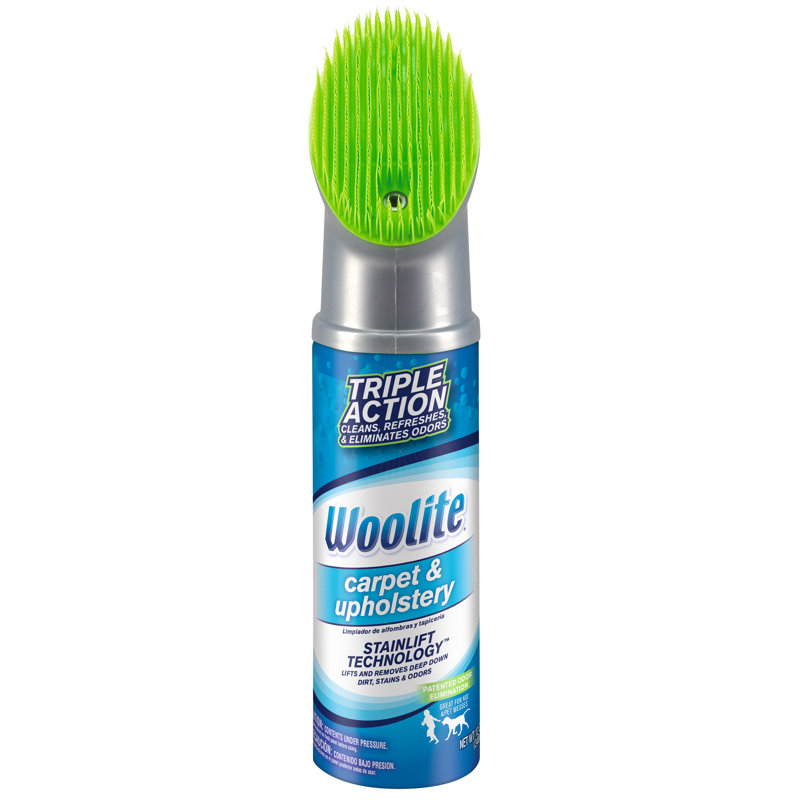 Woolite Bissell Woolite Carpet Upholstery Foam Cleaner Reviews