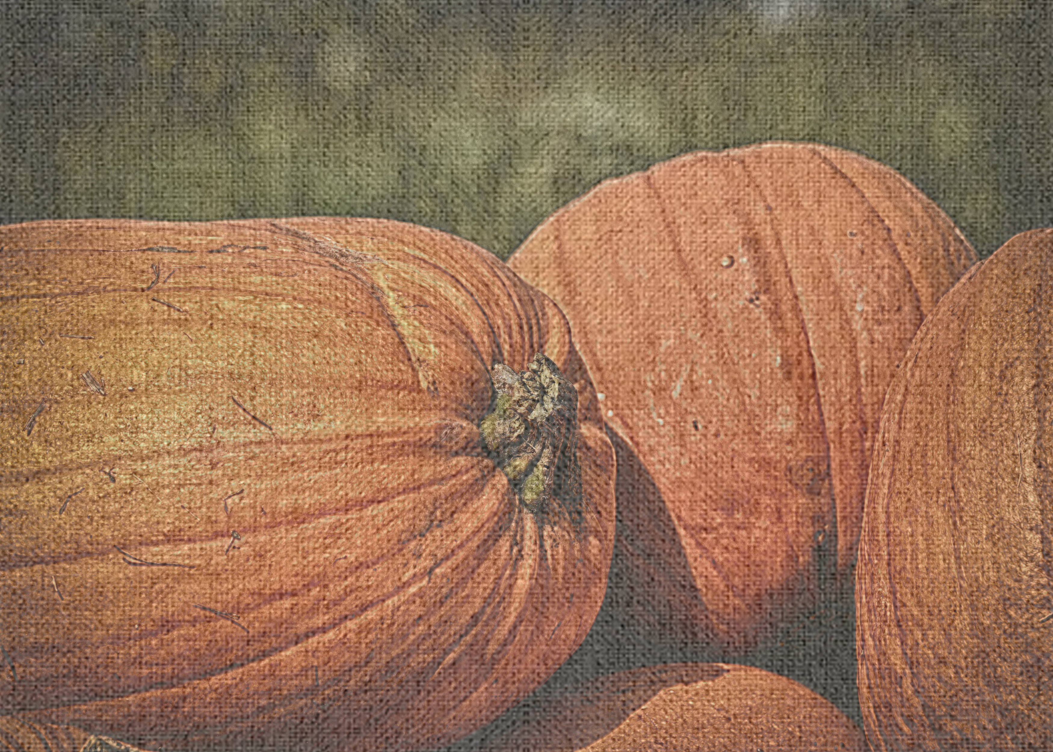 East Urban Home Autumn Orange Area Rug Wayfair
