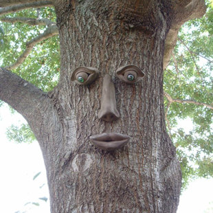 Statues Lawn Ornaments Old Man Tree Face Hanging Planter Poly