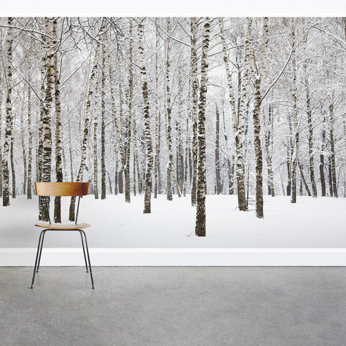 Wallums Wall Decor Snow Covered Winter Birch Trees 8' x 144" 3 Piece Wall Mural | Wayfair