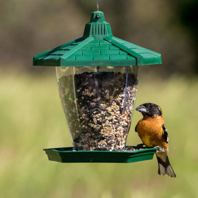 Wild Tube Bird Feeder (Set of 2) Perky Pet