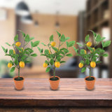 Artificial Lemon Tree Wayfair