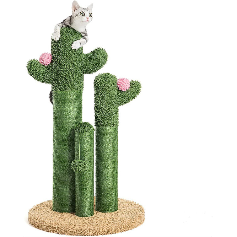 cactus scratching post