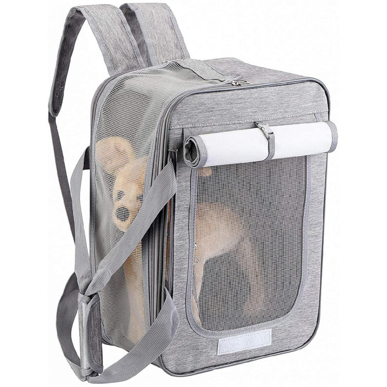 outdoor pet backpack