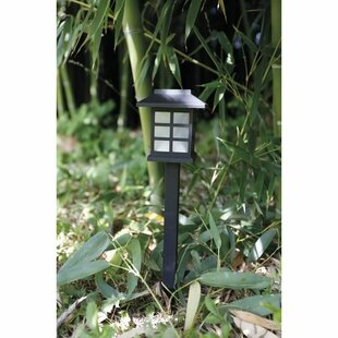 Nakia 1 Light LED Pathway Light By Sol 72 Outdoor