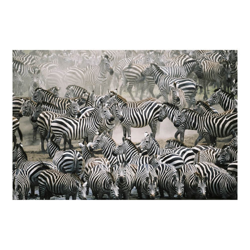 Herd of Zebras 2.55m x 3.84m Textured Matte Peel & Stick Wall Mural East Urban Home