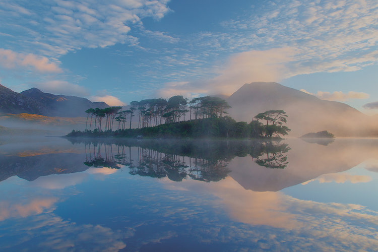 East Urban Home Misty Morning Reflection Photographic Print On Wrapped Canvas Wayfair