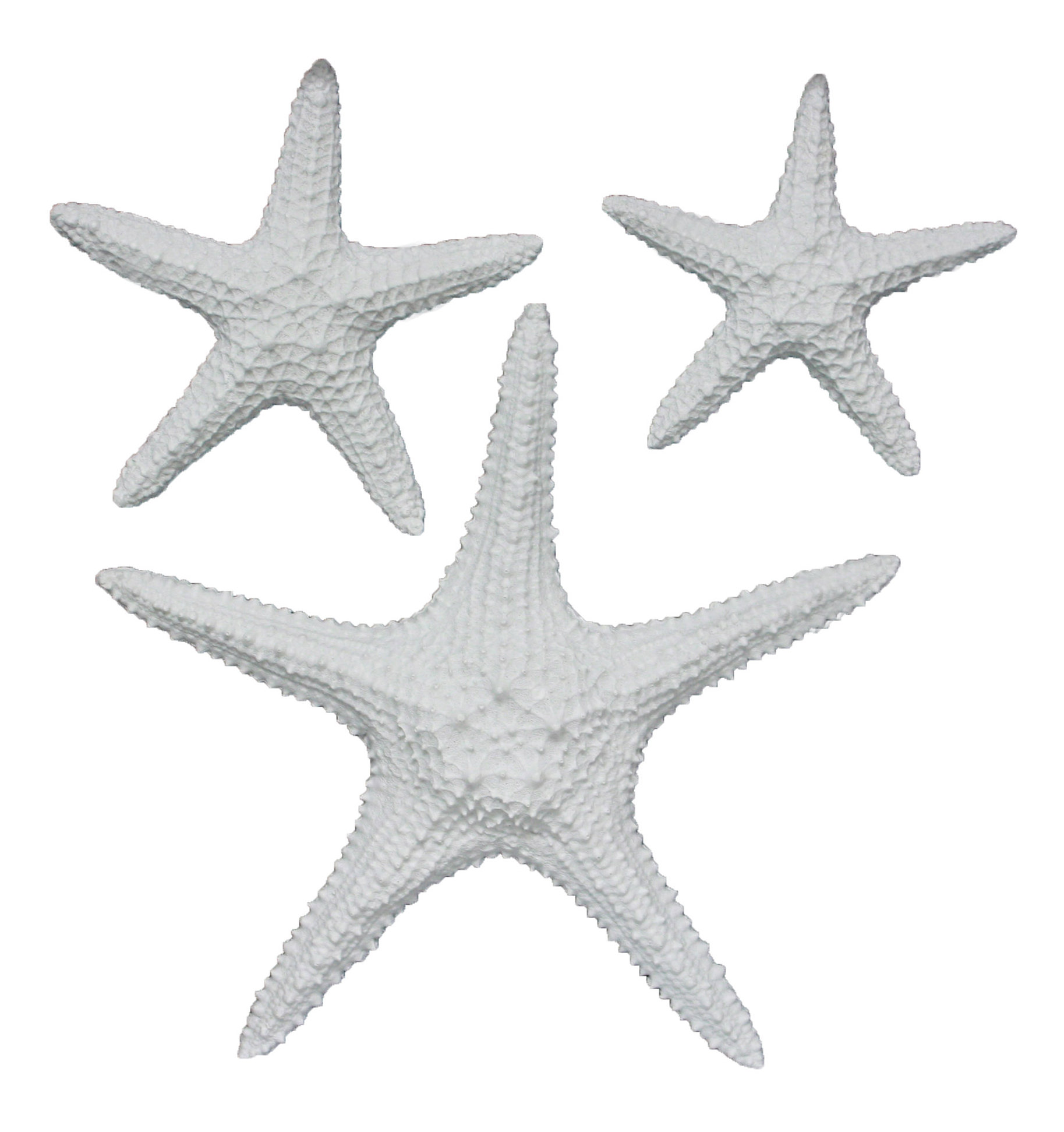 Yelton 3 Piece Starfish Wall Décor Set Yelton 3 Piece Starfish Wall Décor Set