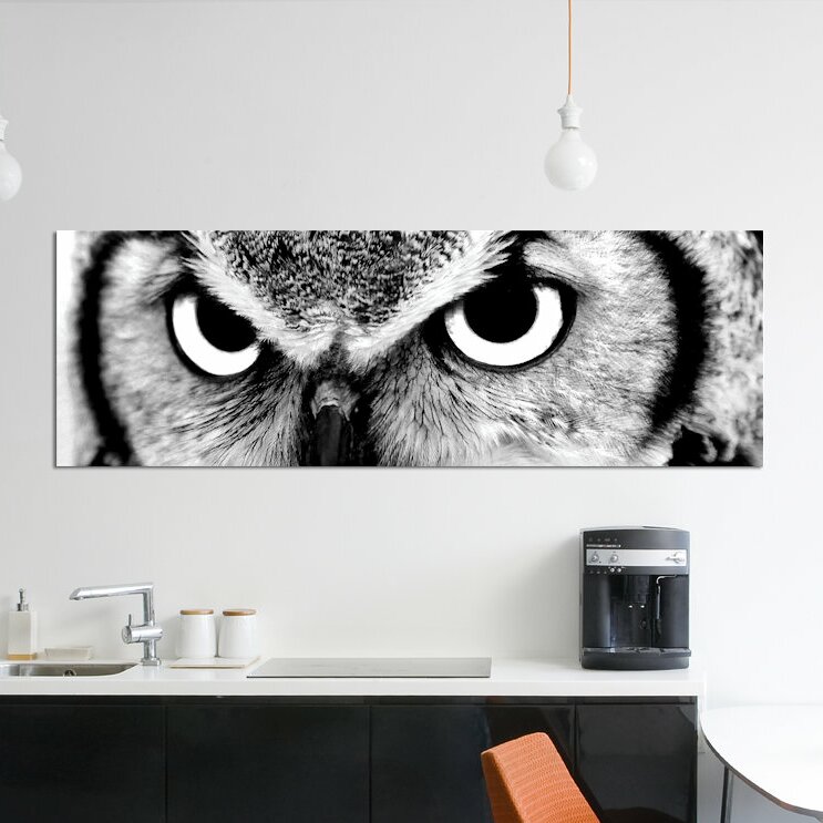 Owl Wall Decoration - 'Owl Eyes' Graphic Art Print on Canvas