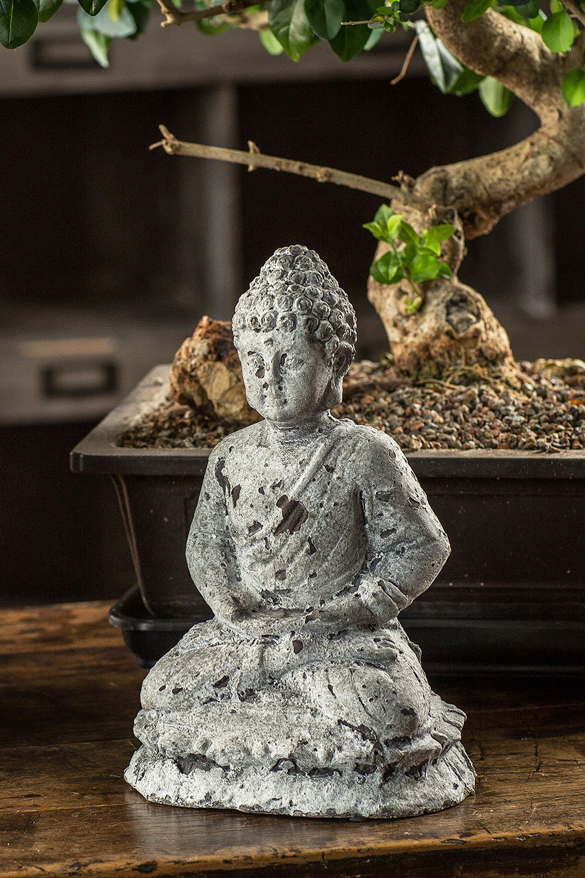 World Menagerie Vanna Buddha Bust Wayfair