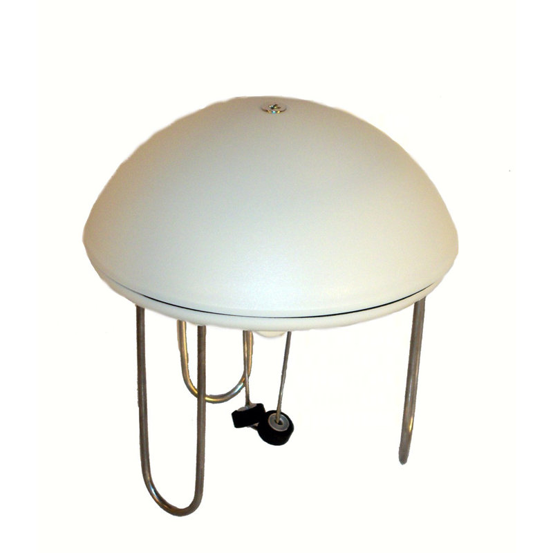 Water Standard Bird Bath Wriggler