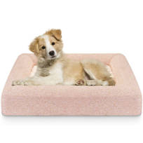 dog beds clearance items