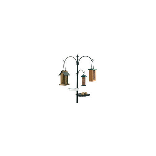 Birdscapes Tulip Garden Lantern Hopper Bird Feeder Reviews Wayfair
