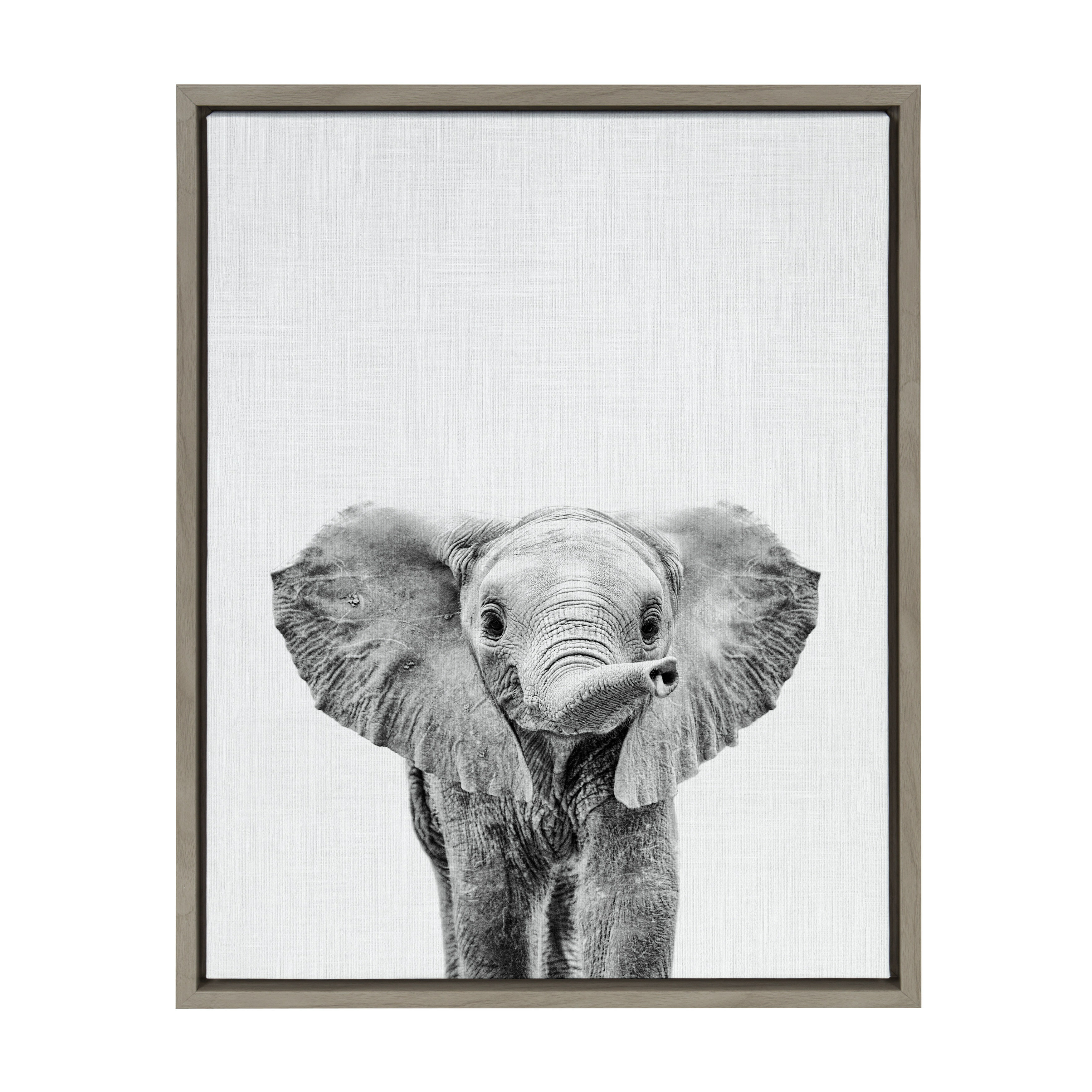 Isabelle Max Baby Elephant Bw By Simon Te Wrapped Canvas Graphic Art Wayfair