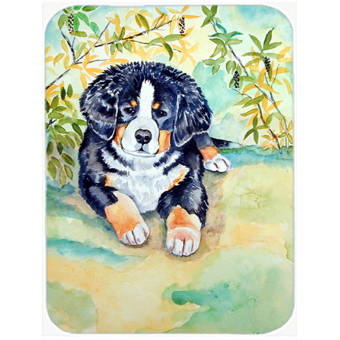 Caroline S Treasures Hedgehog And Hydrangea Glass Cutting Board Wayfair