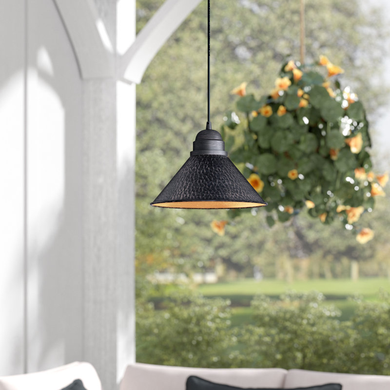 Laurel Foundry Modern Farmhouse Braydon Outer Aged Iron With Inner Light Gold 1 Bulb 7 5 H Outdoor Pendant Reviews Wayfair Ca