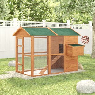 Medium Chicken Coops Youll Love In 2019 Wayfair