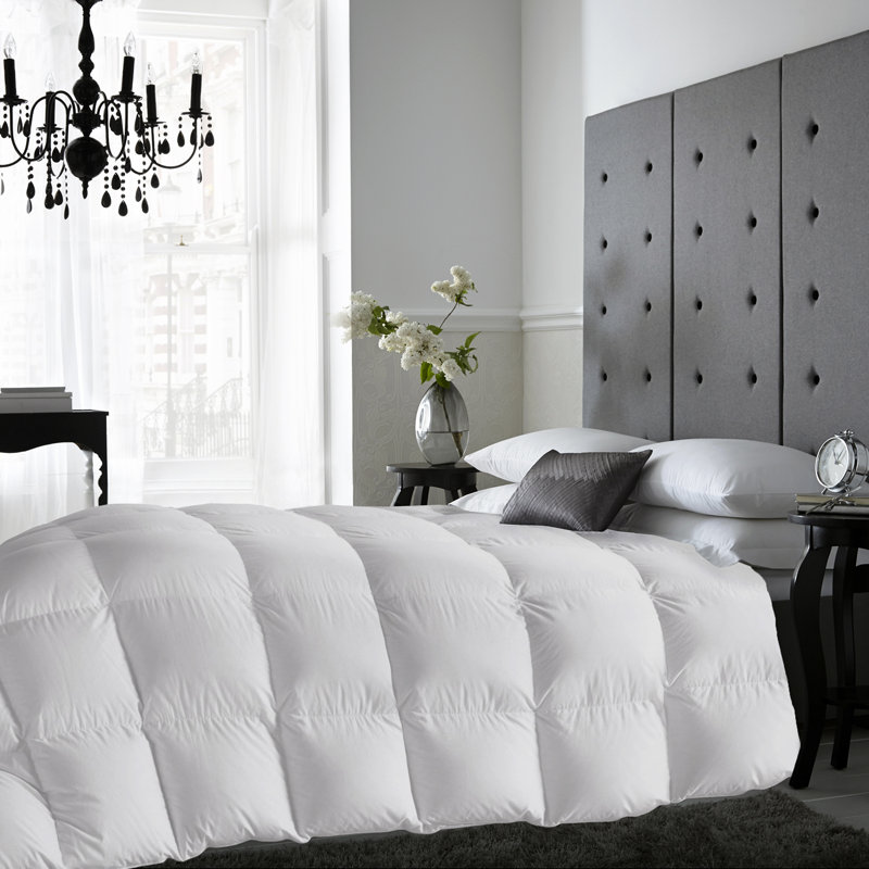 Latitude Run All Season Down Comforter Reviews Wayfair