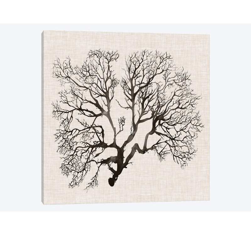 East Urban Home Shadow Sea Fan Iii Watercolor Painting Print On