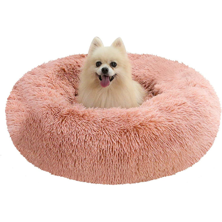 small dog cushion