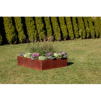 17 Stories Elisabetta Corten Steel Planter Box Reviews Wayfair Mvi_3081 sainte geneviève des bois, bac à sable. 17 stories elisabetta corten steel