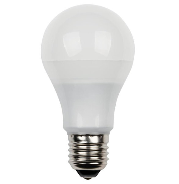 5000k Edison Bulb Wayfair