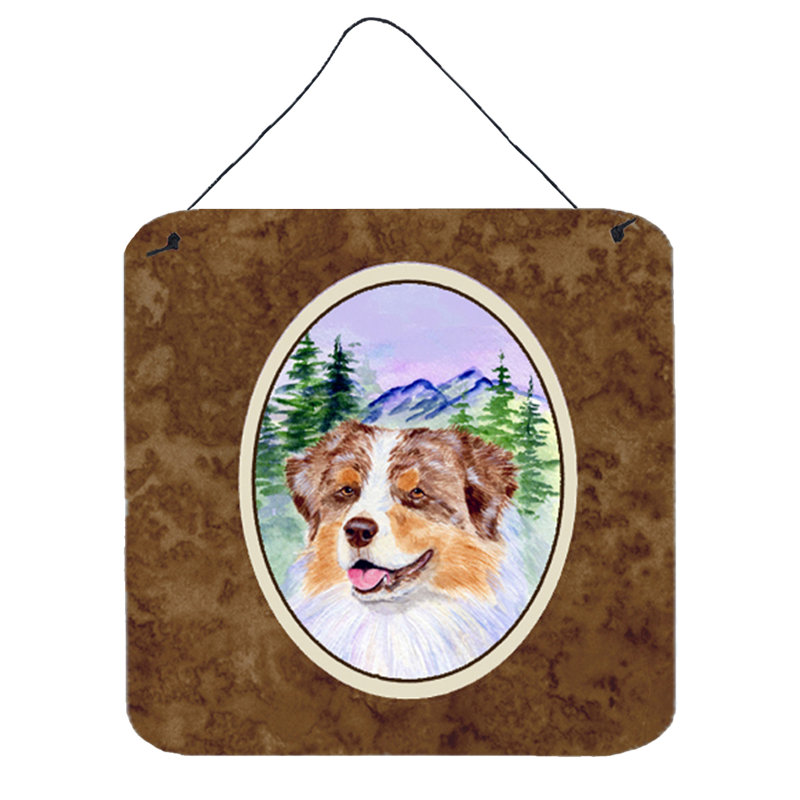 treasures miniature american shepherds