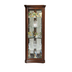 Nannie Lighted Corner Curio Cabinet by Darby Hom..
