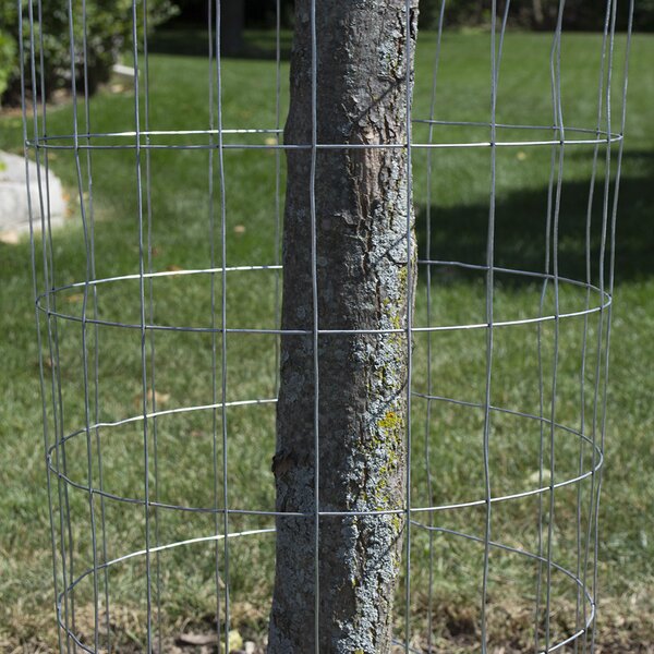 All Sizes & Gauges FREE SHIPPING Galvanized Welded Wire Mesh Cage Fence 