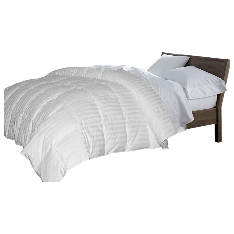 Blue Ridge Home Fashion All Season Down Comforter Reviews Wayfair