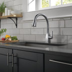 Delta Kitchen Sink and Faucet