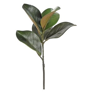 Magnolia Foliage Pick Stem