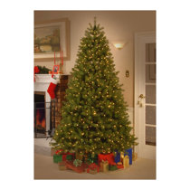 Arethe Silver Birches Collecting Christmas Trees This Year 2022 Christmas Trees You'll Love In 2022 | Wayfair.ca