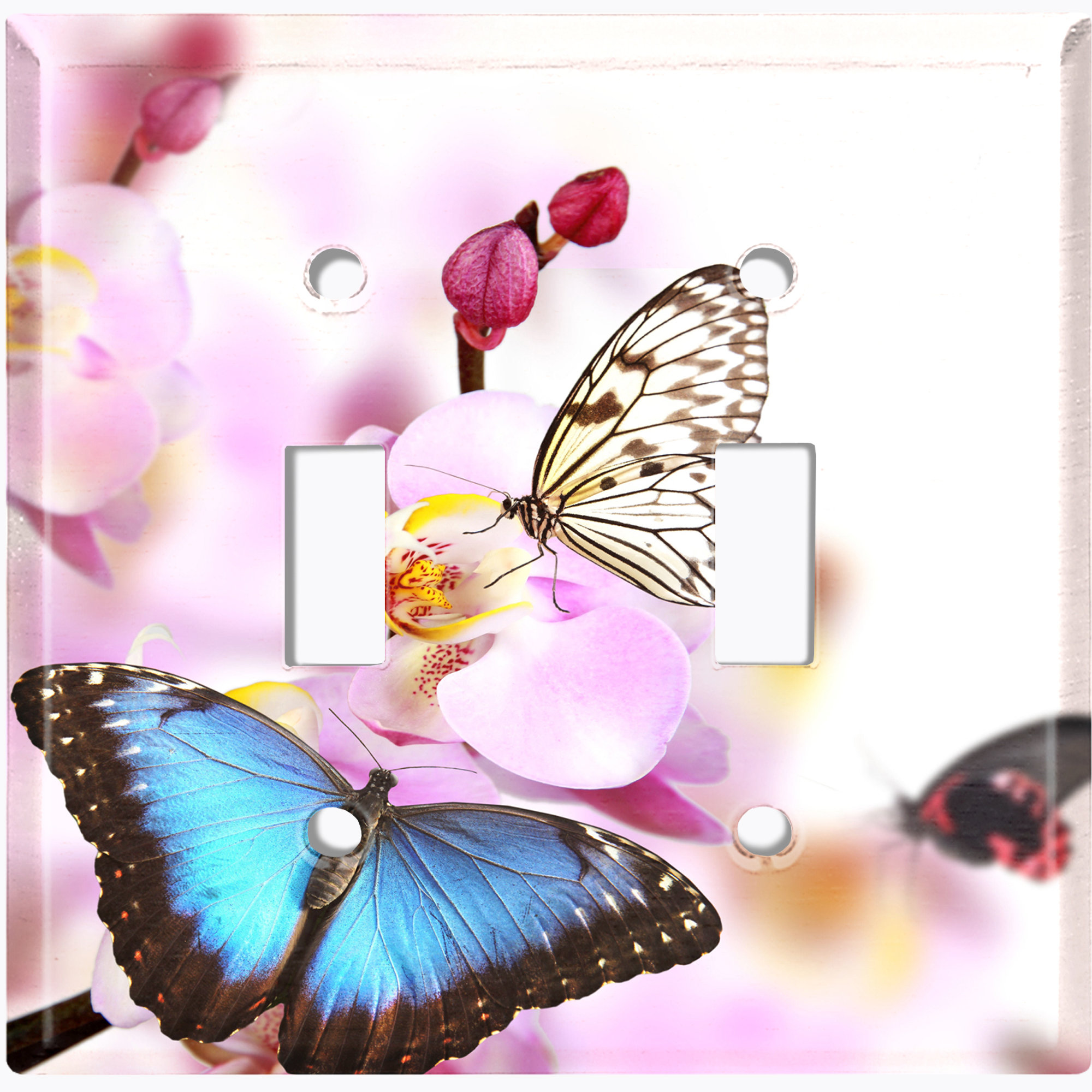 WorldAcc Colorful Butterflies Pink Flower Paint 2-Gang Toggle Light ...