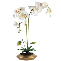 White Artificial Flowers You Ll Love Wayfair Co Uk