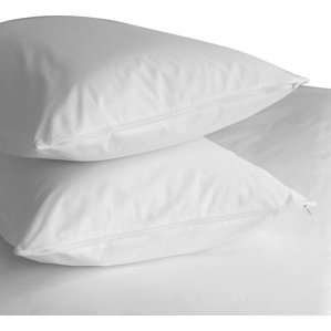 Premium 400 Thread Count Zippered Pillow Protector (Set of 2) by Alwyn Home