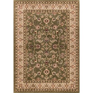 Janell Sarouk Border Green Area Rug