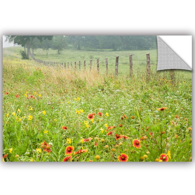 Artwall Karin Connolly Flowers And Fence Removable Wall Decal Wayfair