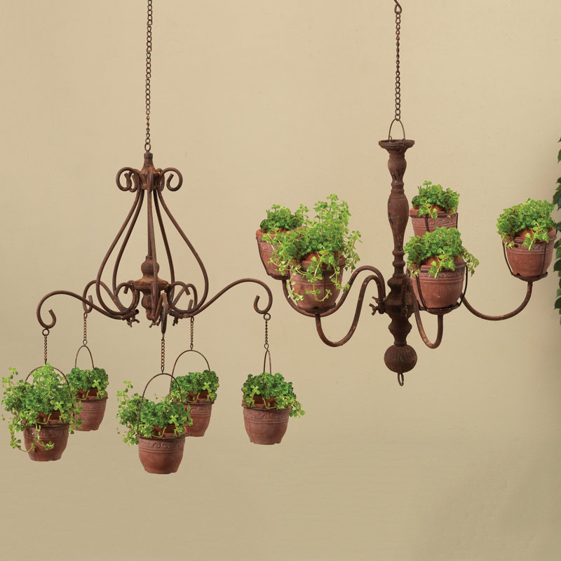 Fleur De Lis Living Forest Hill Chandelier 2 Piece Iron ...