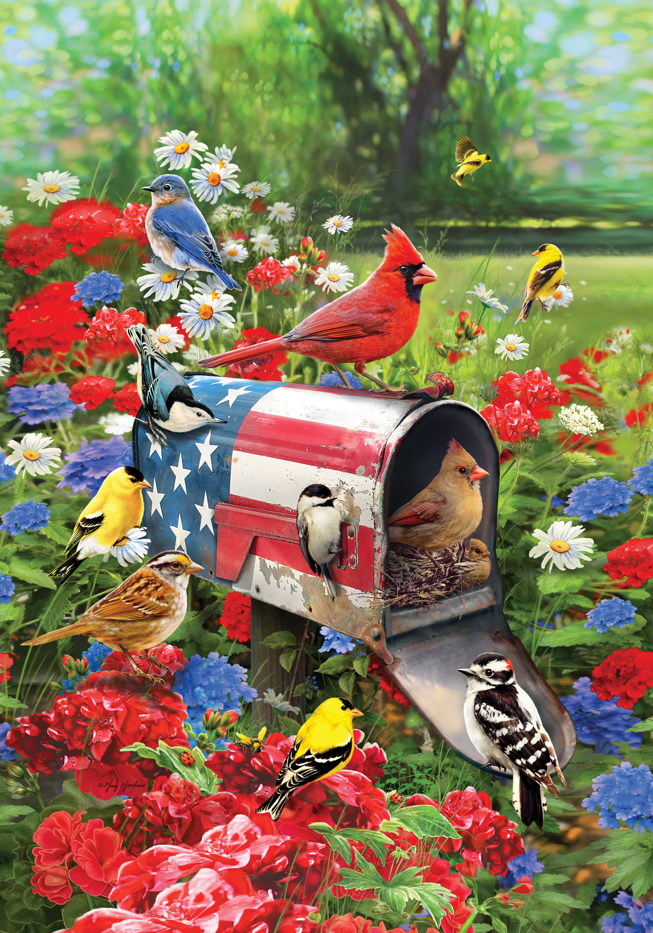 Custom Decor Songbirds Mailbox 2 Sided Polyester 40 X 28 In House Flag Wayfair