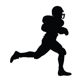 exercise ball carrier