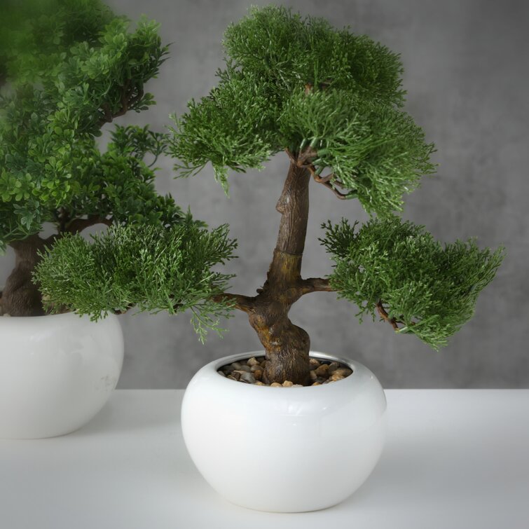 13'' Faux Bonsai Tree in Ceramic Pot