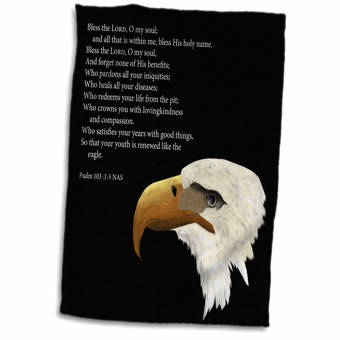 East Urban Home Psalm 103 Verses 1 5 And Painting Of A Bald Eagle