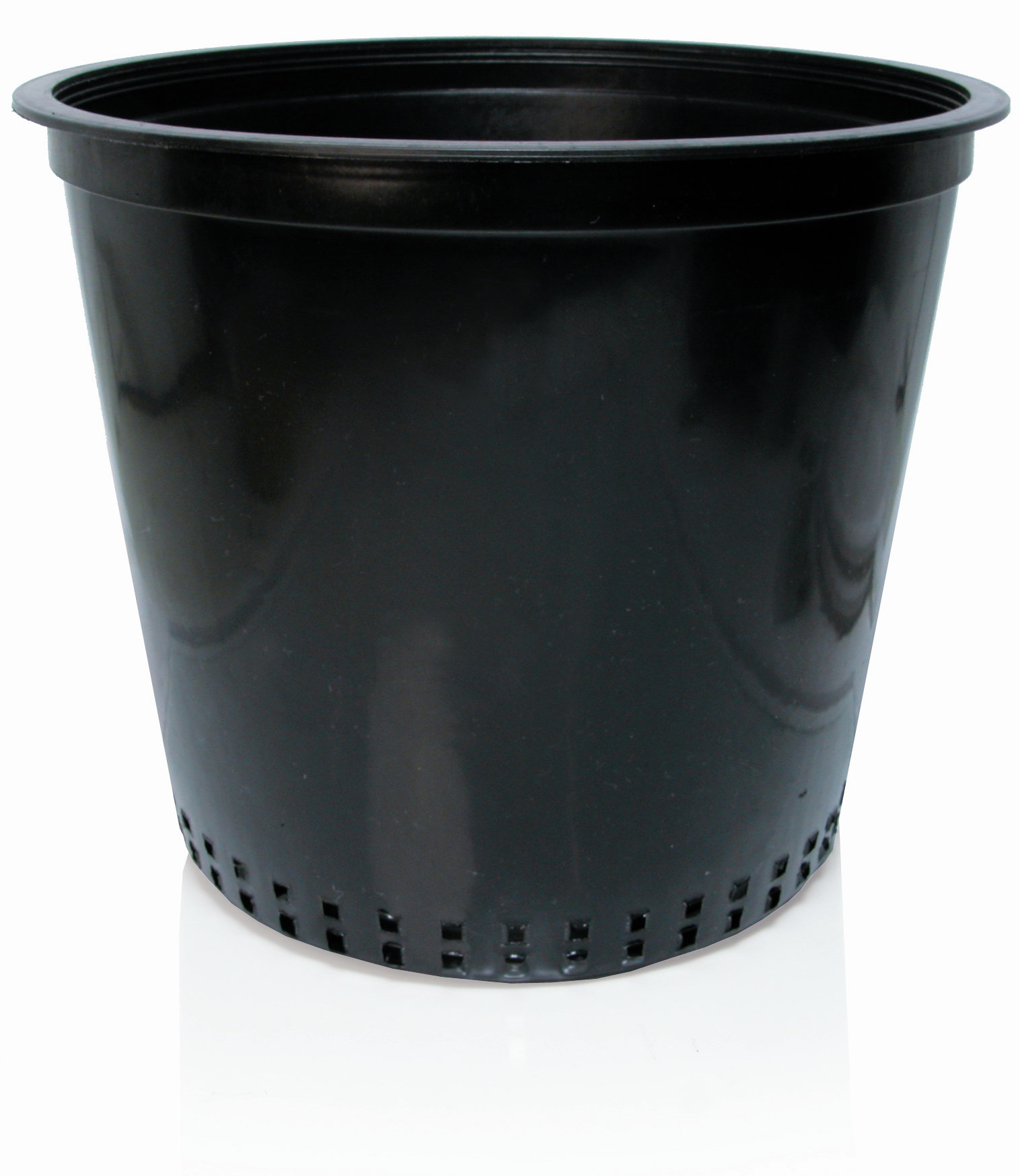 Hydrofarm Plastic Nursery Pot Wayfair Hydrofarm Plastic Nursery Pot Wayfair