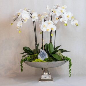 Orchid and Celestite in Urn