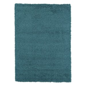 Starkes Turquoise Blue Shaggy Area Rug