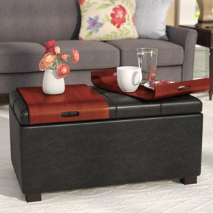 Thelonius Storage Ottoman