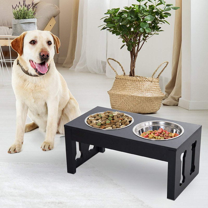 wayfair elevated dog bowls